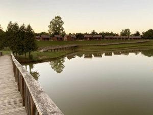 Rustic Cabins next to the lake