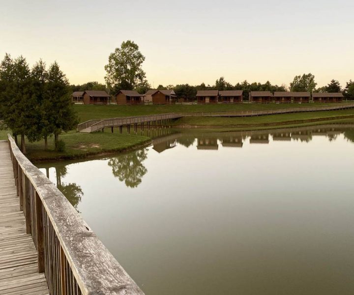 Rustic Cabins next to the lake